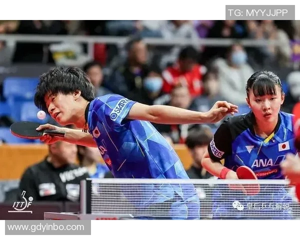 成都乒乓球队的节奏与发展探讨:从训练到比赛的全景分析 成都乒乓球队的节奏与发展探讨:从训练到比赛的全景分析