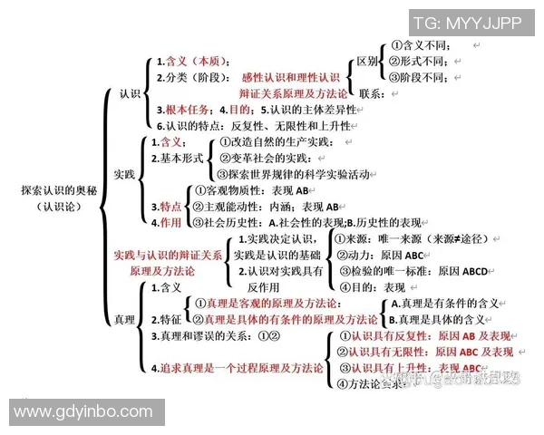 足球为何如此受欢迎背后的文化与社会影响探讨