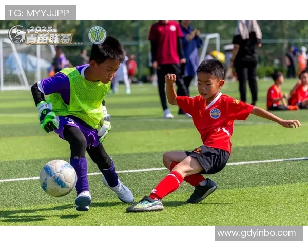 足球日记的魅力与成长记录探索球场上的激情与梦想 足球日记的魅力与成长记录探索球场上的激情与梦想