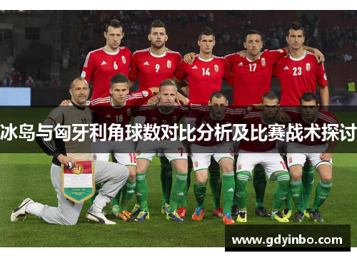 冰岛与匈牙利角球数对比分析及比赛战术探讨