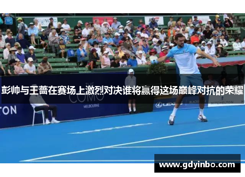 彭帅与王蔷在赛场上激烈对决谁将赢得这场巅峰对抗的荣耀