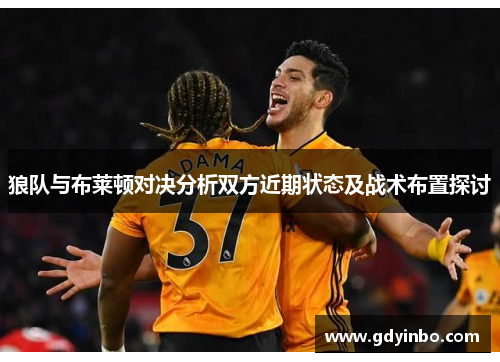 狼队与布莱顿对决分析双方近期状态及战术布置探讨