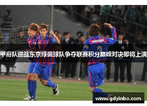 甲府队迎战东京绿茵球队争夺联赛积分巅峰对决即将上演